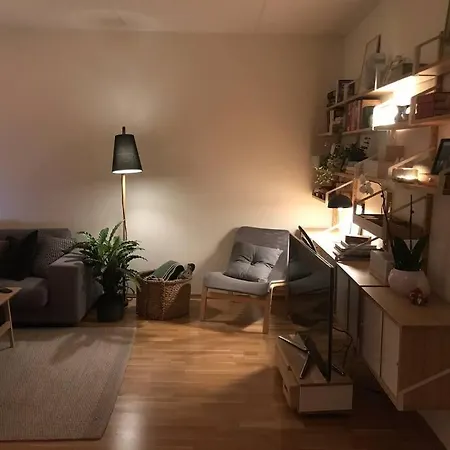 3-roms Leilighet Pa 85 Kvm, Midt I By Apartment *